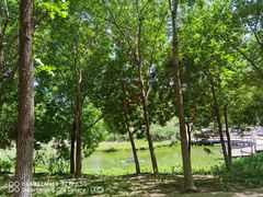 -大兴滨河森林公园