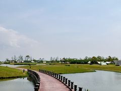 -春花秋色城市公园