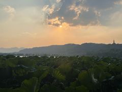 -湖畔居茶楼(湖滨店)