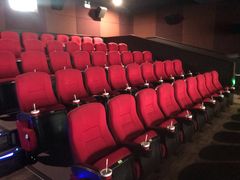 -大地影院(上海南汇店)