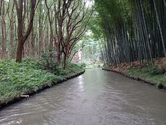 -同里国家湿地公园