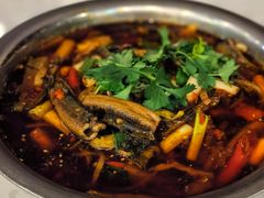 -高坎一品甲鱼庄(两河店)