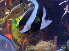 -沈阳海洋探索中心