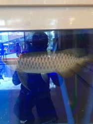 -昆明梦想医疗美容医院