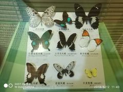 -蝴蝶泉公园