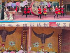 -呀路古热带植物园