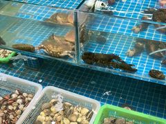 -和源祥·日照菜扛把子(万平口一店)