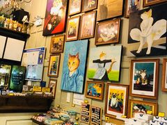 -猫咪博物馆(顶澳仔猫街店)