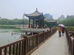 -莲花池公园