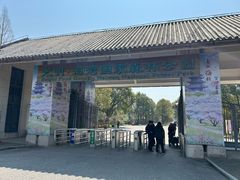 -上海海湾国家森林公园