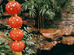 -云溪植物园