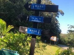 -海南霸王岭国家森林公园