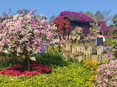 -东莞植物园