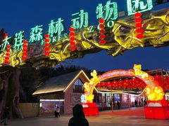 -大连森林动物园