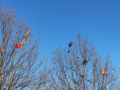 -北京麋鹿生态实验中心