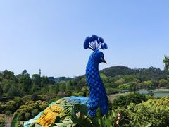 -东莞植物园