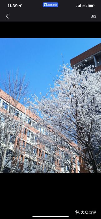 佳园路(地铁站)图片