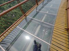 -少华山国家森林公园