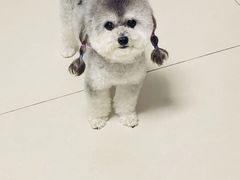 -宠福鑫康馨动物医院·骨科·眼科