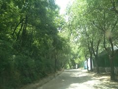 -抱龙峪