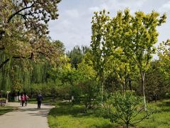 -莲花池公园