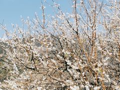 -广州市流溪河国家森林公园