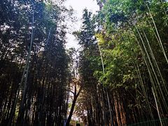 -四门塔风景区