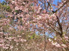 -石岛赤山风景区