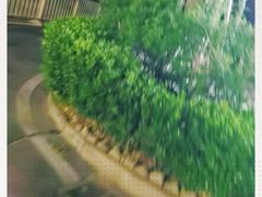 -园丁顿西餐厅(亦庄创新大厦高新视听产业园店)