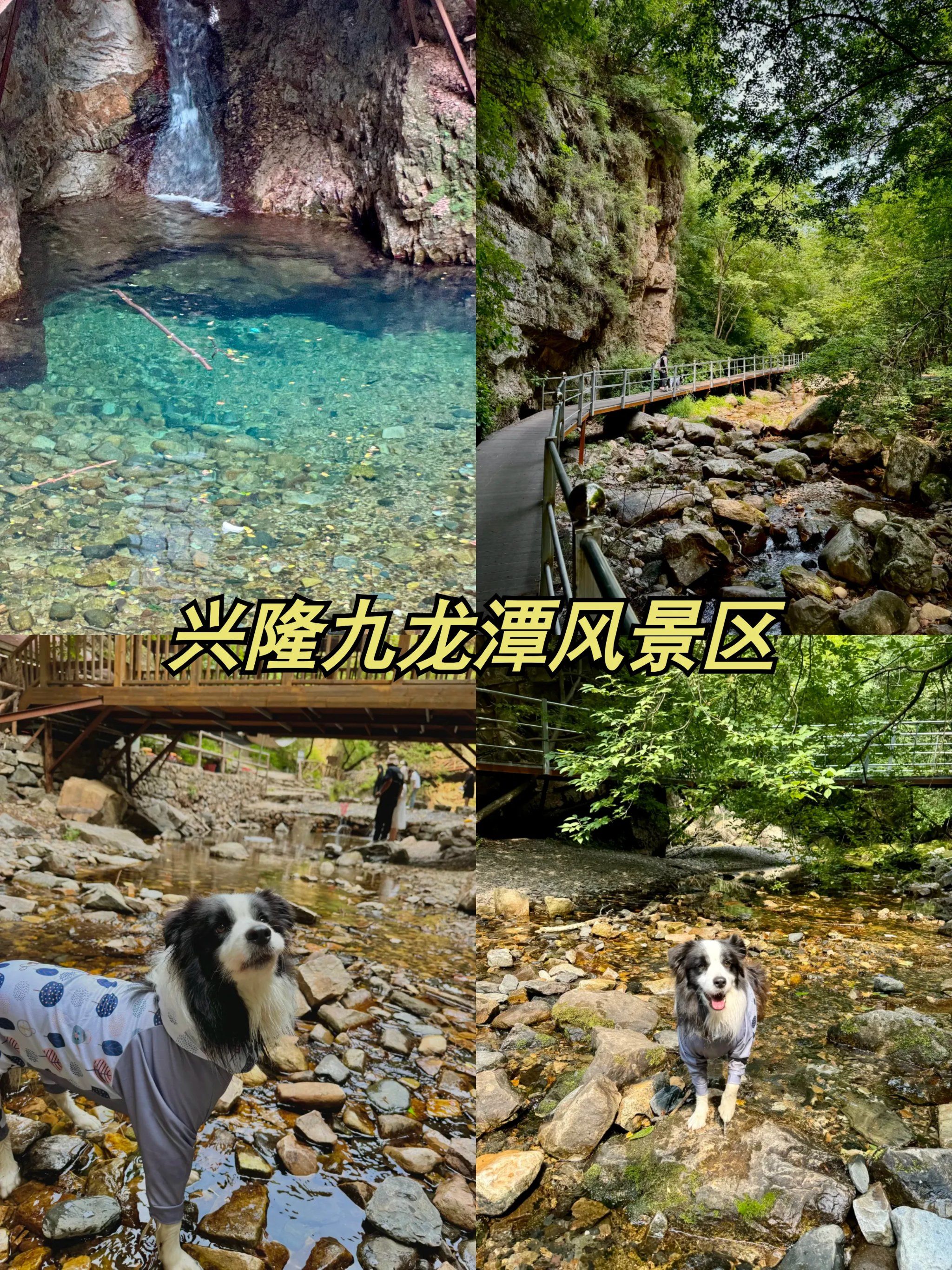 坐标:兴隆九龙潭风景区
从天津过来两个半小时,有山路,不难开,门票