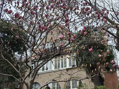 -常熟路(地铁站)