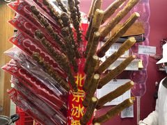 -和禄德冰糖葫芦