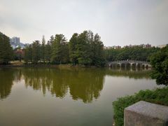 -四海公园(南山区)