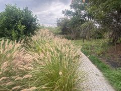 -柳鹭田园区