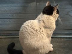 -旧天堂书店(华侨城创意文化园南山特色文化街区店)