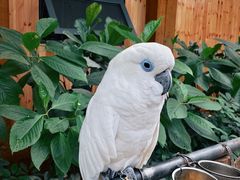 -南宫五洲植物乐园