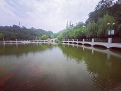 -大连植物园