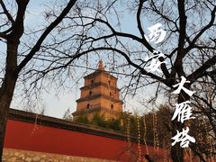 -大雁塔北广场音乐喷泉