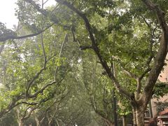 -一尺花园(安和花园店)