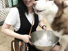 -TrueLove @ Neverland (Husky Cafe)