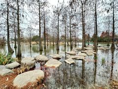 -上海长兴岛郊野公园