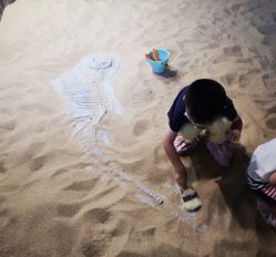 -恐龙探索乐园(磁器口店)