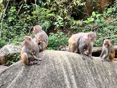 -姑婆山旅游区