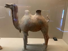 -敦煌市博物馆