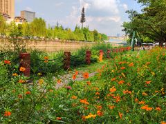 -成都市活水公园