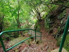 -四明山国家森林公园
