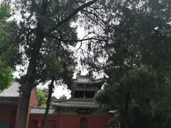 -洛阳白马寺