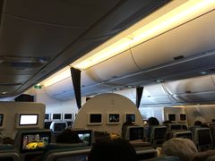 -新加坡航空公司(ION)