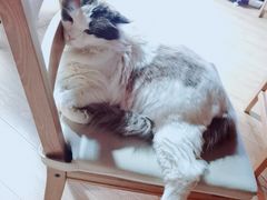 -白兔子密室(长寿路店)