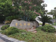 -紫薇公园